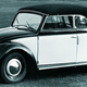 Illustration for article titled Beginner’s Guide to VW Beetle Species